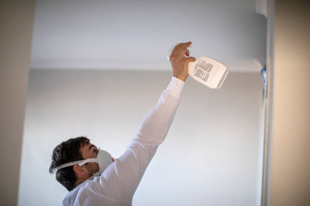 Best Basement Mold Remediation in Rock Springs, NM