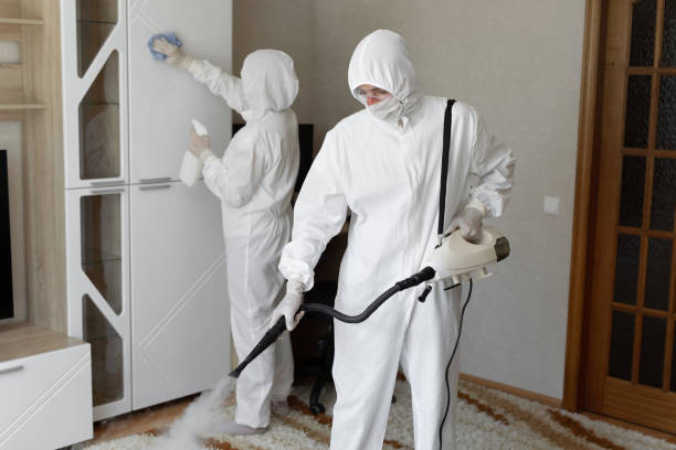 Best Industrial Mold Remediation in Rock Springs, NM